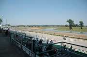DuQuoin 2006 017